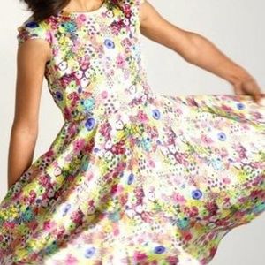 Alivia Simone Ava Swing Dress (Worn Once)